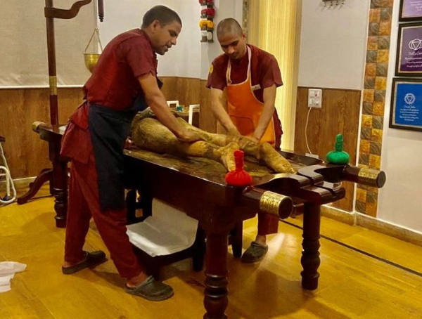 Ayurveda Detox - Retreats