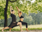 Importance of Yoga Program