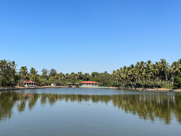 Veda5 Wellness Retreat & Spa