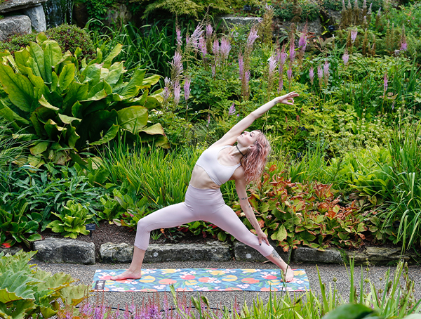 Yoga Program - Breaks