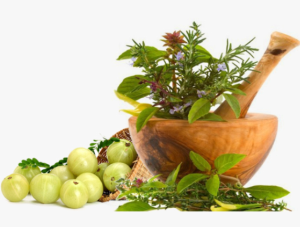 Detoxification - Escape